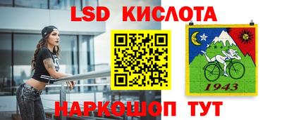 spice Берёзовский
