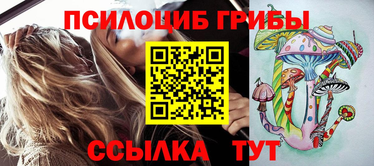 Галлюциногенные грибы Cubensis Семёнов