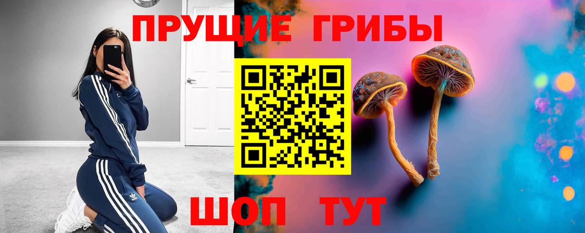 Псилоцибиновые грибы MAGIC MUSHROOMS  Вход с VPN  Псилоцибиновые грибы MAGIC MUSHROOMS  Семёнов 